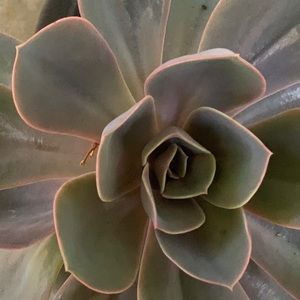 Meet your Posher, Cristina